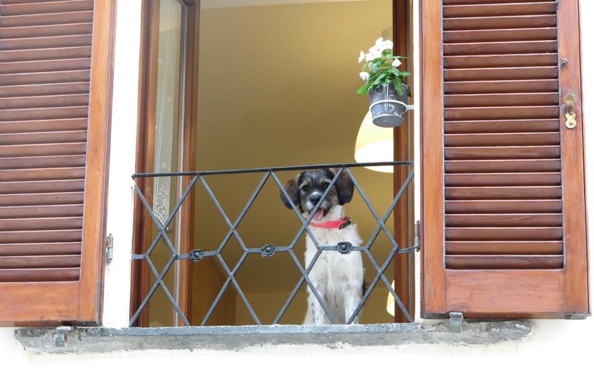 Domus Etrusca Orvieto Zewnętrze zdjęcie